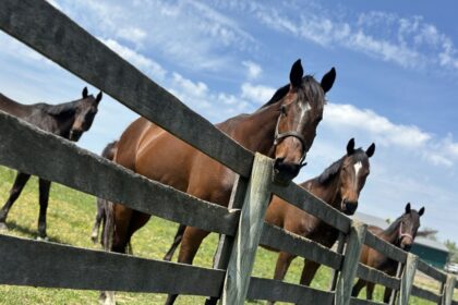 Yahoo lifestyle home