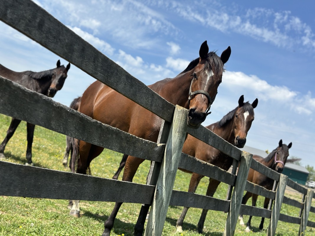 Yahoo lifestyle home