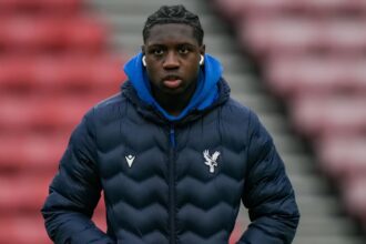 West Brom signing looks like the next bunny