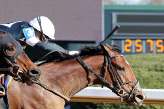 Download app from appStore