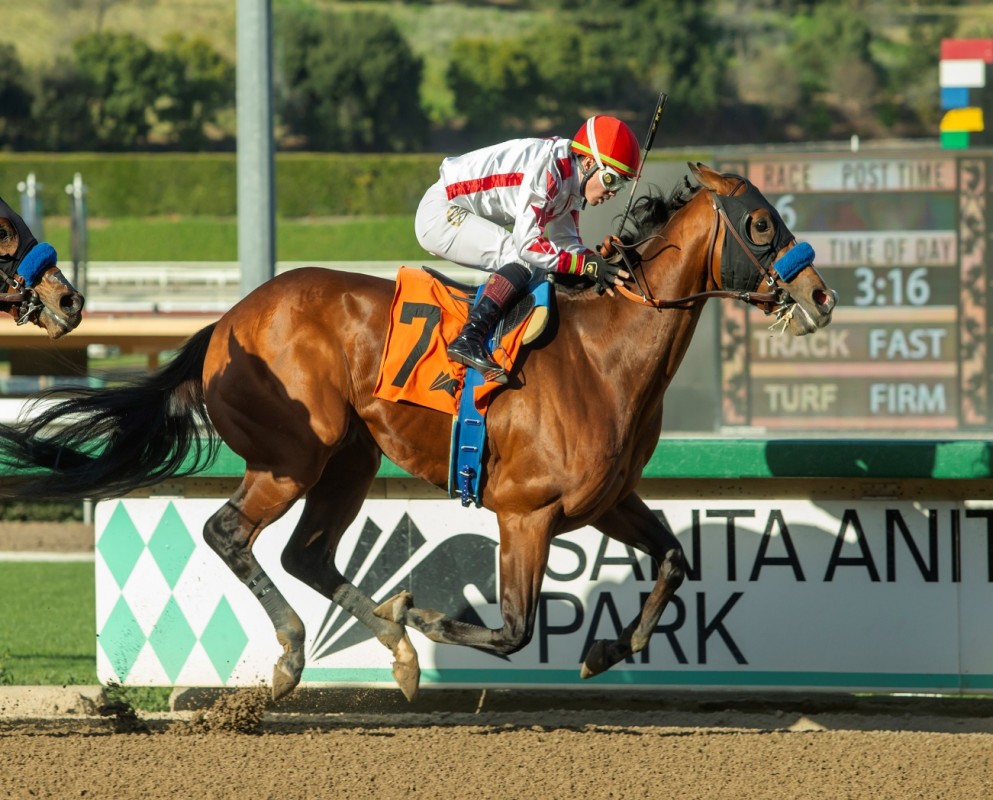 Download app from appStore