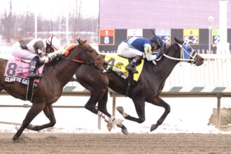 Download app from appStore