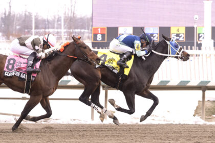 Download app from appStore