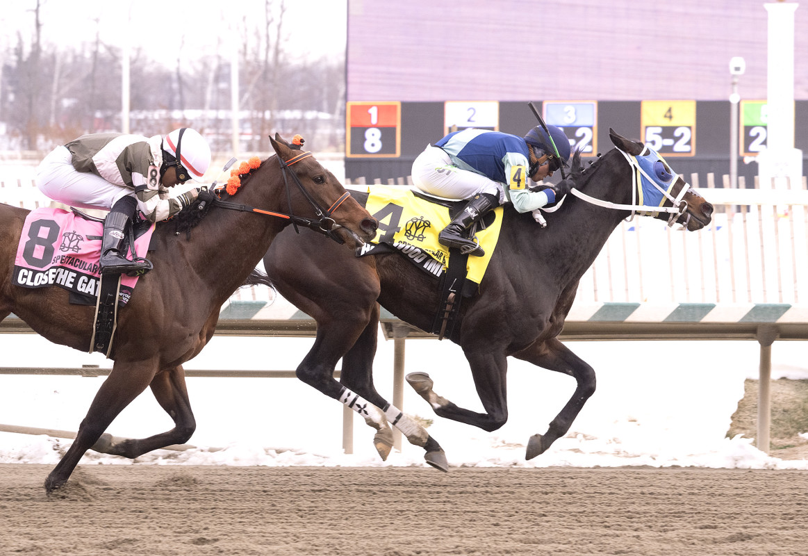 Download app from appStore