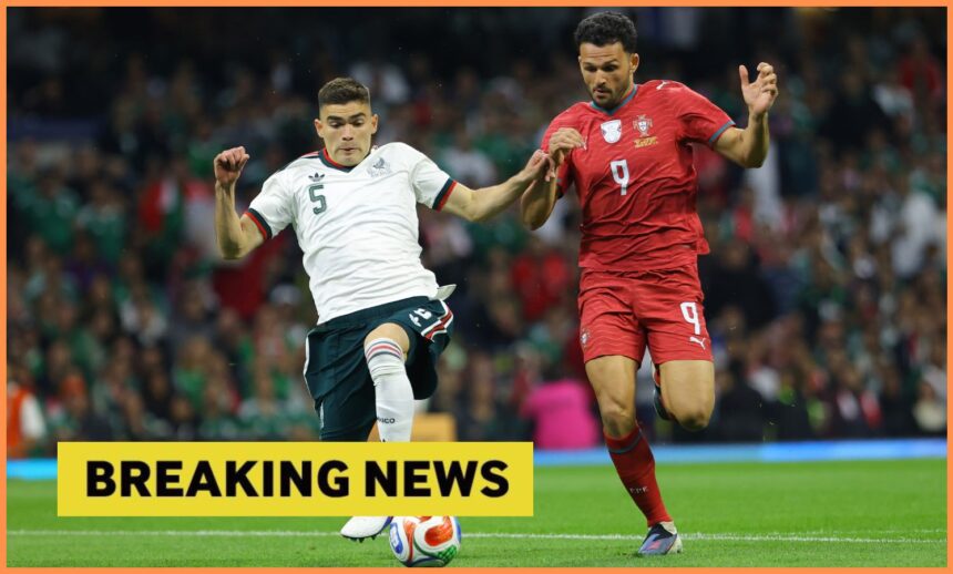 Goncalo Ramos in action for Portugal