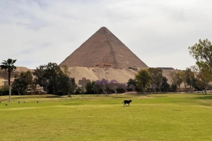American company hired to renovate golf course next to Great Pyramid