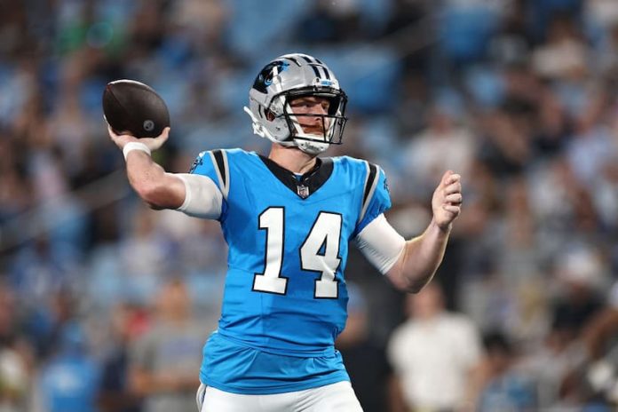 Andy Dalton Panthers pic