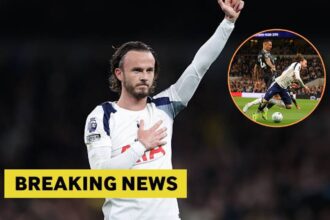 James Maddison applauding the fans with overaly of Maddison