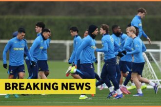 Tottenham breaking news