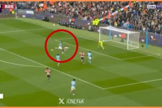 Brentford had a strong penalty shout against Manchester City