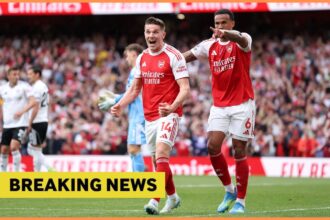 Viktor Gyokeres celebrates a goal for Arsenal