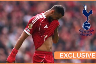 Cody Gakpo of Liverpool reacts