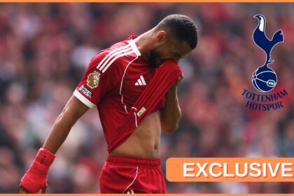 Cody Gakpo of Liverpool reacts