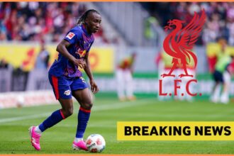 Yan Diomande in action for RB Leipzig