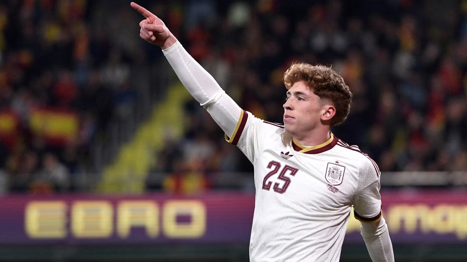 Newcastle could have £25m bid accepted for star player