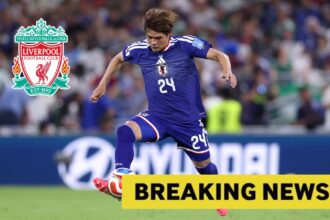 Liverpool are paying attention to the Japanese national team after their impressive performance in the World Cup.