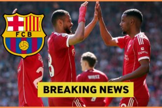 Alexander Isak celebrates with Liverpool teammate Cody Gakpo