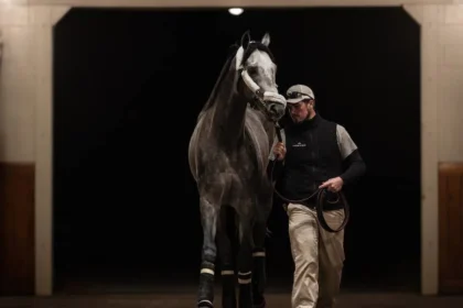 $170,000 Arcangelo Filly Tops Friday at Keeneland September Sale
