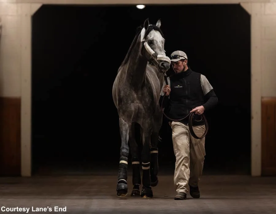 $170,000 Arcangelo Filly Tops Friday at Keeneland September Sale