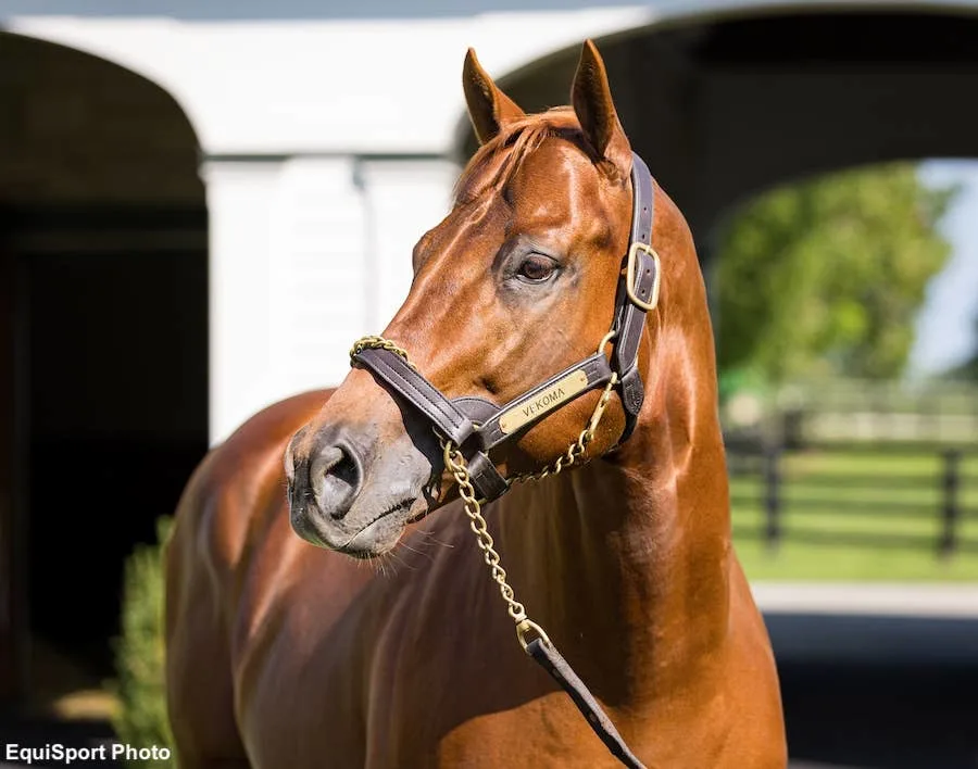$260,000 Vekoma Colt Tops Thursday Sales at Keeneland September