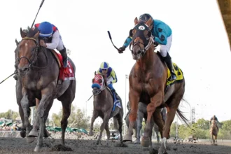 Adios Jojo Named Oregon's 2025 Horse of the Year