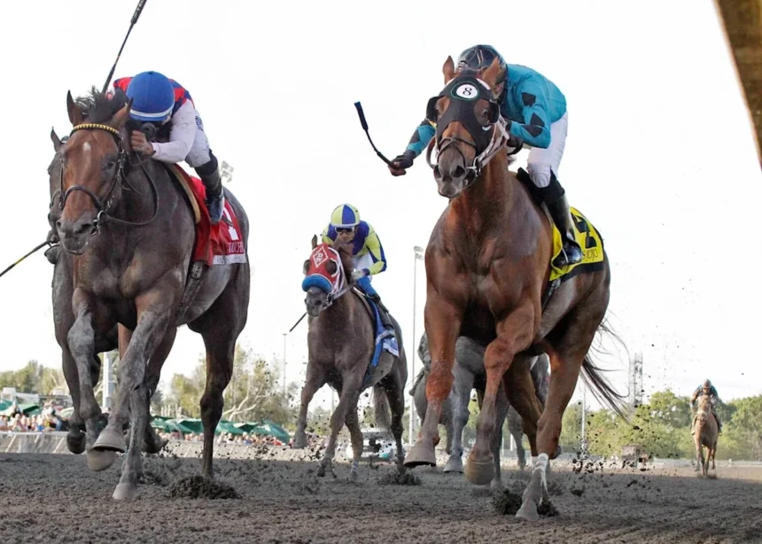 Adios Jojo Named Oregon's 2025 Horse of the Year
