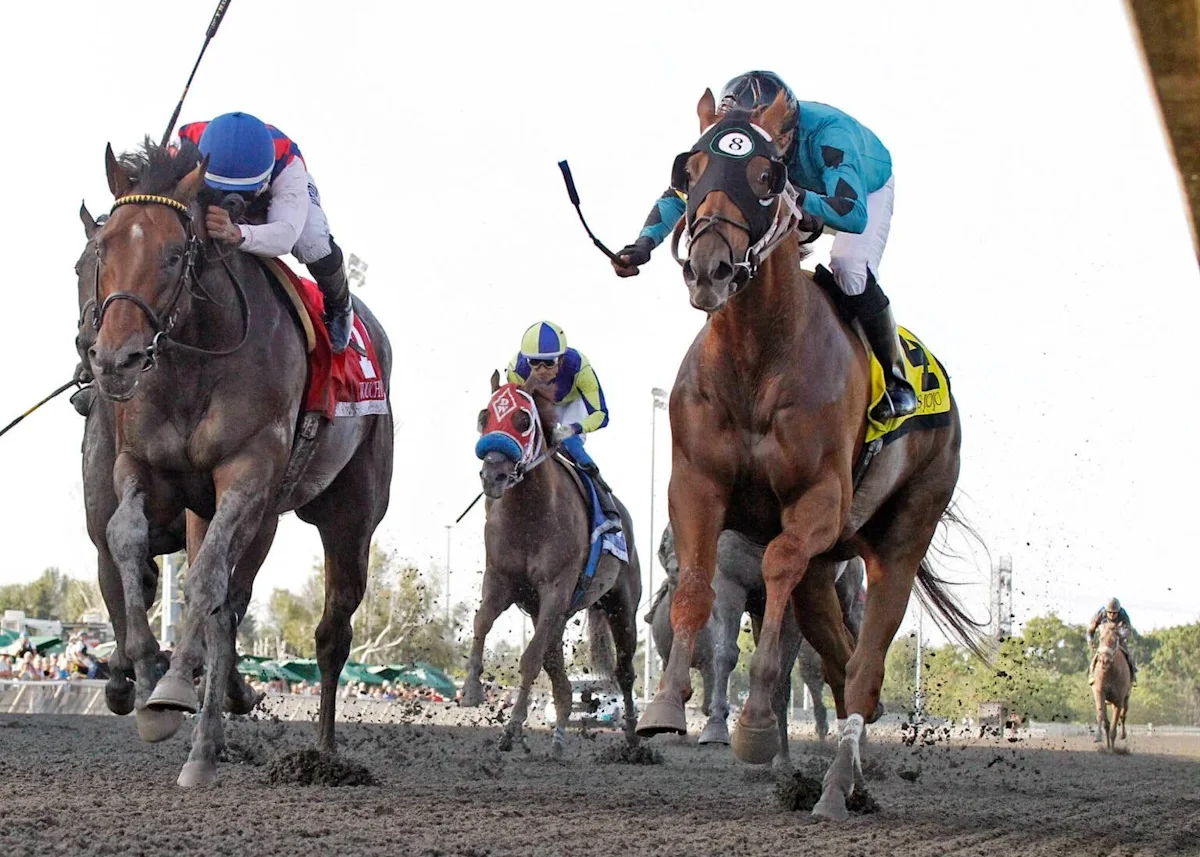 Adios Jojo Named Oregon's 2025 Horse of the Year