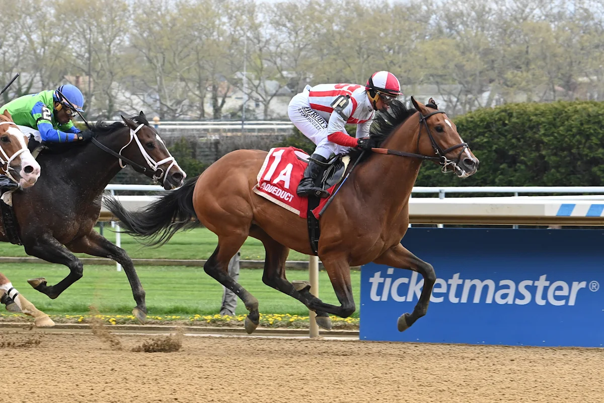 Amelia Green Highlights Contrarian Picks, Doctor Sullivan to Vosburgh Stakes