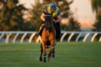 Archivist Aims to Prevent Notable Speech Repeat in Woodbine Mile, Equibase Analysis Says