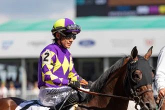 Baeza and Further Ado to Stand at Spendthrift
