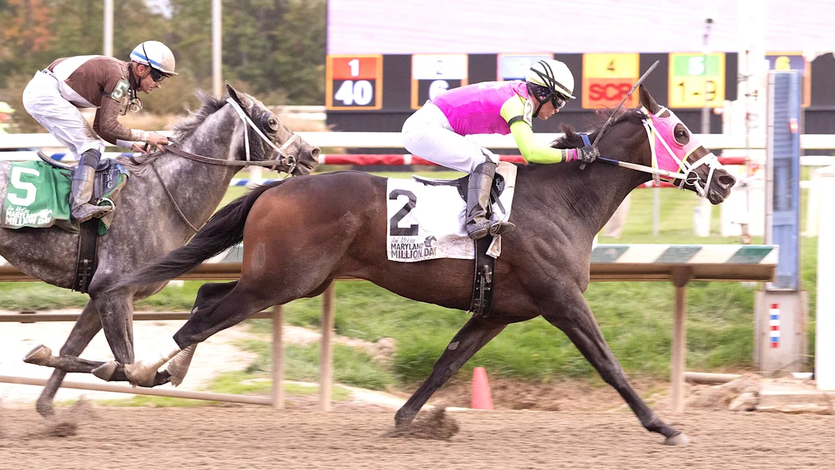 Barbadian Runner and Bendoog Face Off in Battery Park Stakes