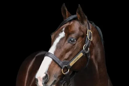Basin to Move to Whispering Oaks Farm in Louisiana for 2027