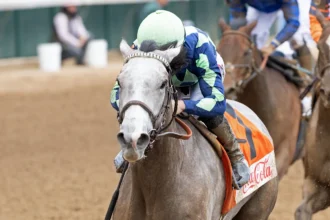 Beauty Reigns Targets Stakes Breakthrough in Gallant Bloom Stakes