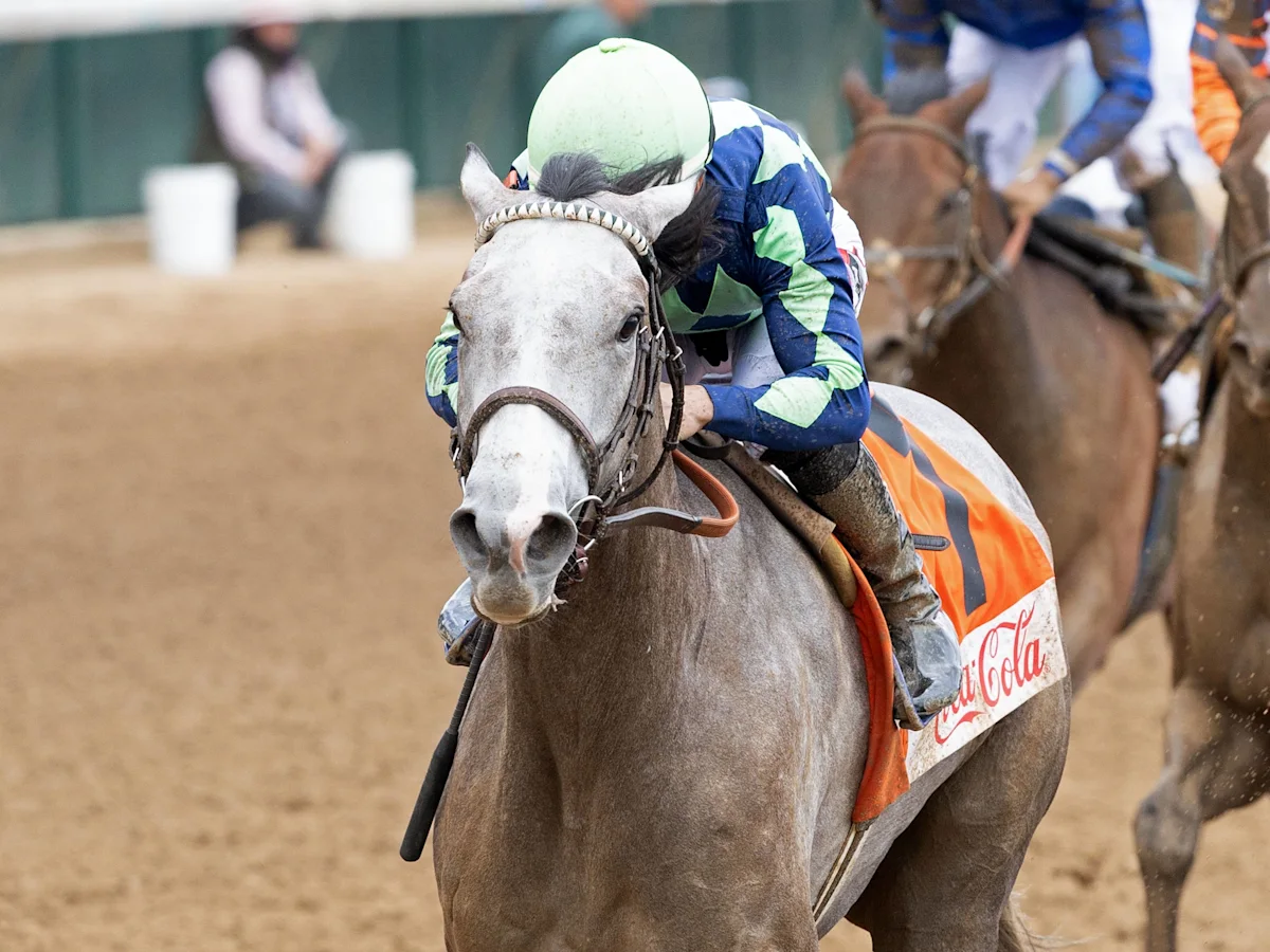 Beauty Reigns Targets Stakes Breakthrough in Gallant Bloom Stakes