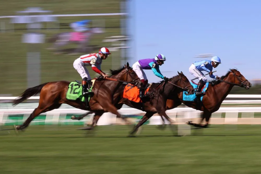 Belmont Park Reopens Following $555 Million Renovation to Boost Horse Racing in New York
