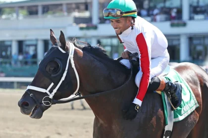 Bishops Bay and Stimulate Favored in Ack Ack and Bourbon Flight Stakes