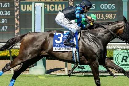 Bloodlines Presented By Walmac Farm Highlight Horses Preserving Pioneerof The Nile's Legacy In Programs