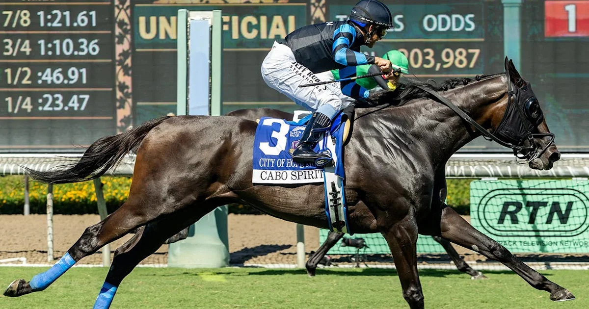 Bloodlines Presented By Walmac Farm Highlight Horses Preserving Pioneerof The Nile's Legacy In Programs
