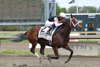 Bodacious Bay Star of Cotillion Loaded the Whole Way