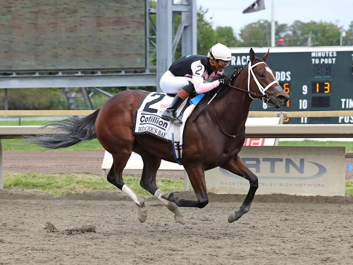 Bodacious Bay Star of Cotillion Loaded the Whole Way