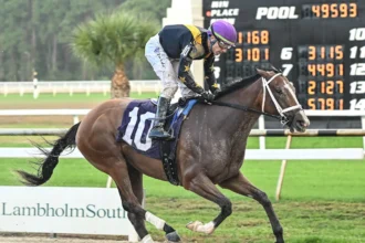 Brad Cox Trainee Sneaky Good Favored in Weather Vane Stakes