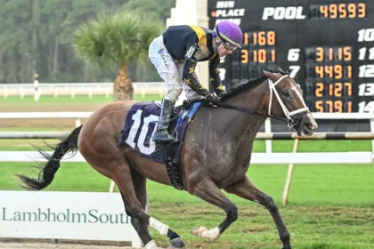 Brad Cox Trainee Sneaky Good Favored in Weather Vane Stakes