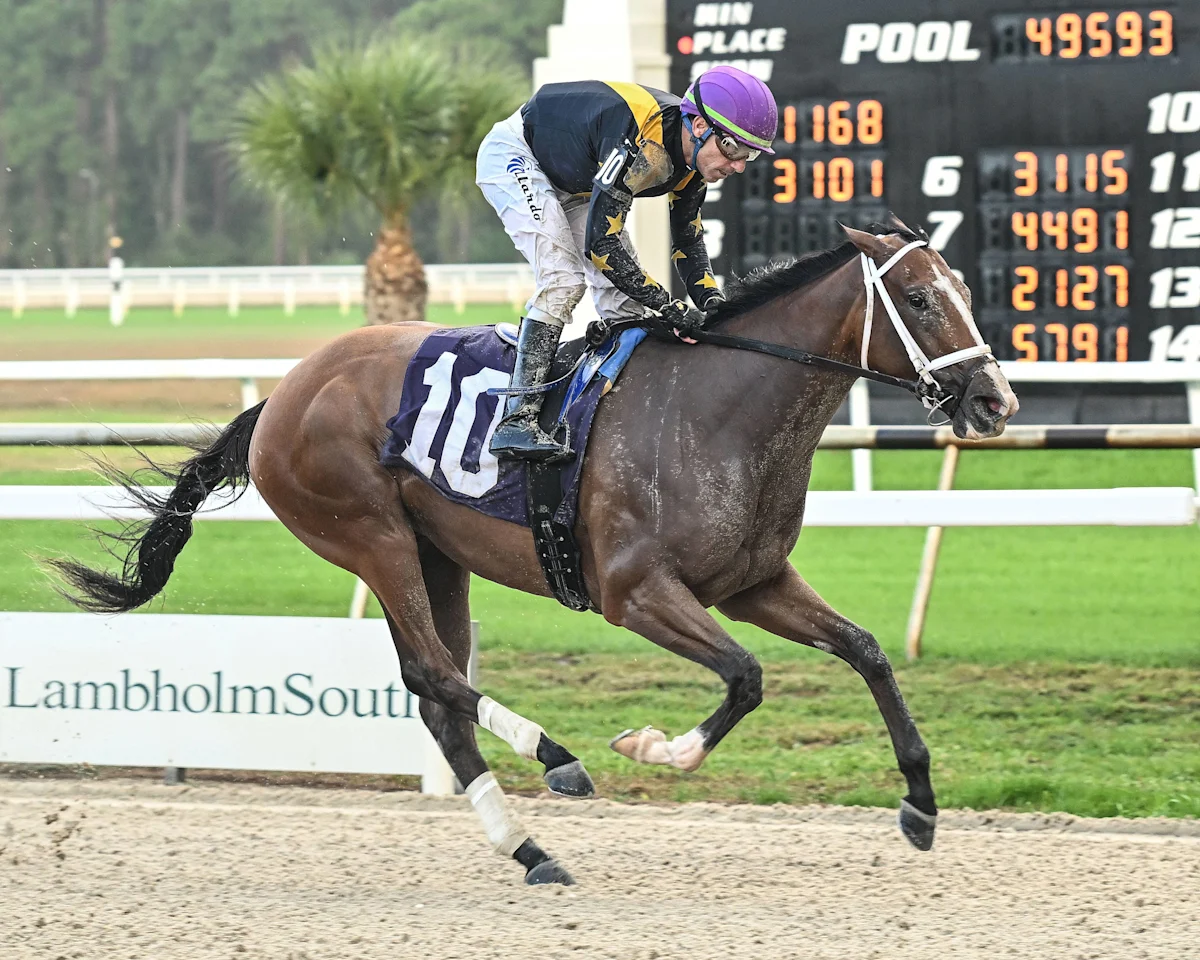 Brad Cox Trainee Sneaky Good Favored in Weather Vane Stakes