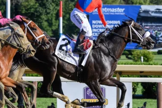 Breeders' Cup features Grade 1 assist from former champion Connections