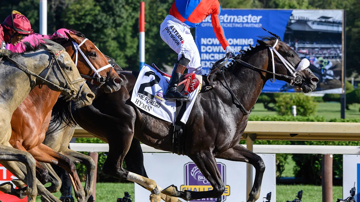Breeders' Cup features Grade 1 assist from former champion Connections