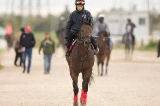Buium Attempts First Win in Breeders’ Stakes