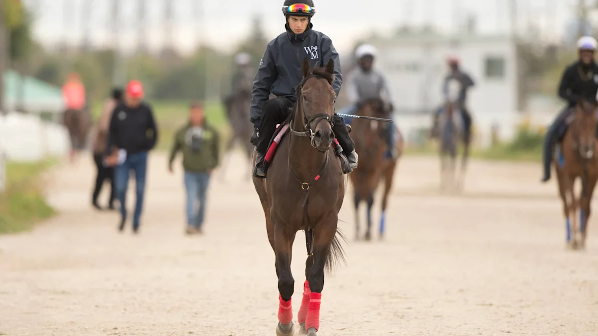 Buium Attempts First Win in Breeders’ Stakes