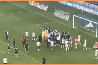 (Videos): Ex-Premier League manager starts brawl after taunting former fans with a dance