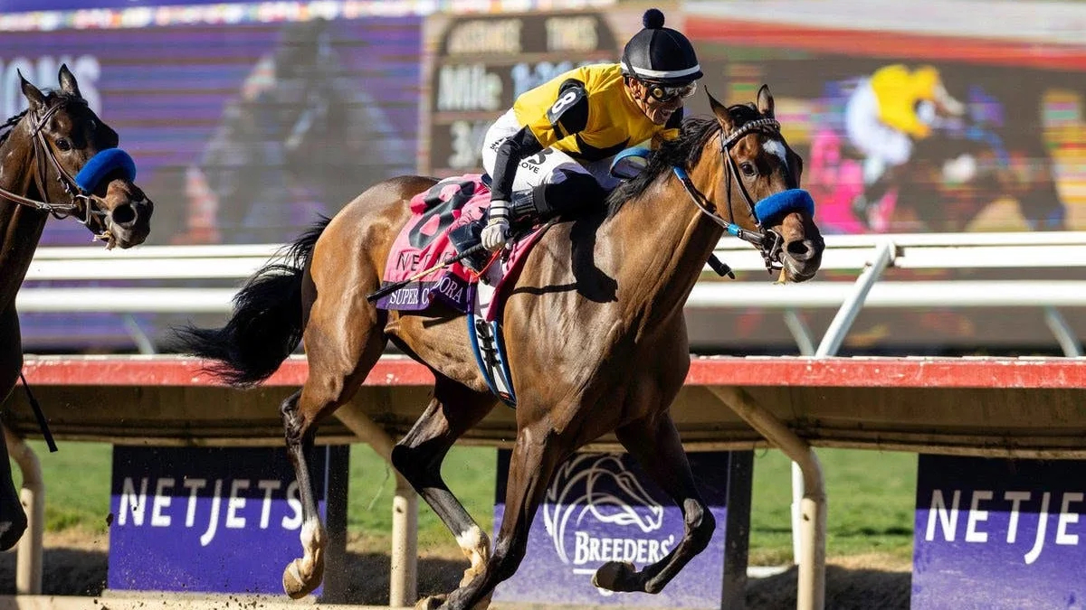 Champion Super Corredora Returns in Zenyatta Stakes