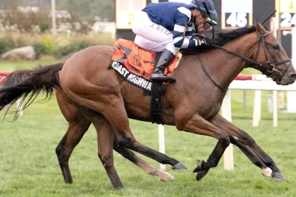 Coast Highway Overcomes Challenges to Win Laurel Futurity